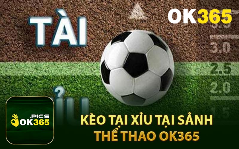 Kèo tài xỉu tại sảnh thể thao OK365